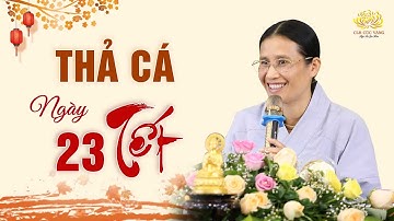 TẾT Ông Công Ông Táo Thả Cá Thế Nào Cho Có Phước? | Phạm Thị Yến