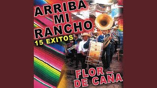 Xochipilxahuatl