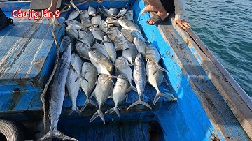 Câu jig lần 9: ĐẦU NĂM TRÚNG CÁ BÈ QUÁ TRỜI...