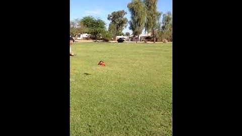 Mono-Phan 2 Tvector - 2 X 500Mah - Thrust Vector