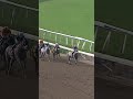 Grey Beats Grey!🩶 FORGED STEEL Wins the G1 Goodwood at Santa Anita!