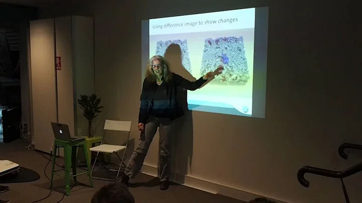 [CGWeb] Sherry Mayo: Visualising Volumes: Insight ...