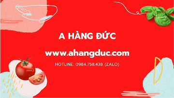 Vòi lọc nước trực tiếp Brita chất lượng, nhỏ gọn và sang trọng