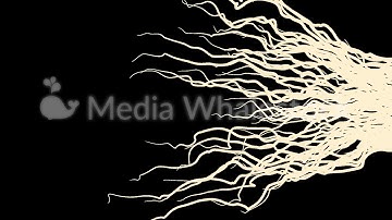 Beige glowing wavy elegant curved white lines on black background. Animation. Beautiful white