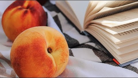 Fruit picking from 3 years old Peach tree
