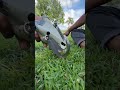 Drone video ❤️ #drone #dronevideo