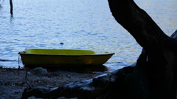 WAVE Sounds at the Lake, Waves Lapping at Lakeside, Water Sounds for Sleep, Relaxing, Studying, PTSD