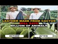 Leather made from Cactus will save Billion of Animals | Cactus Leather | Vegan Leather | Desserto