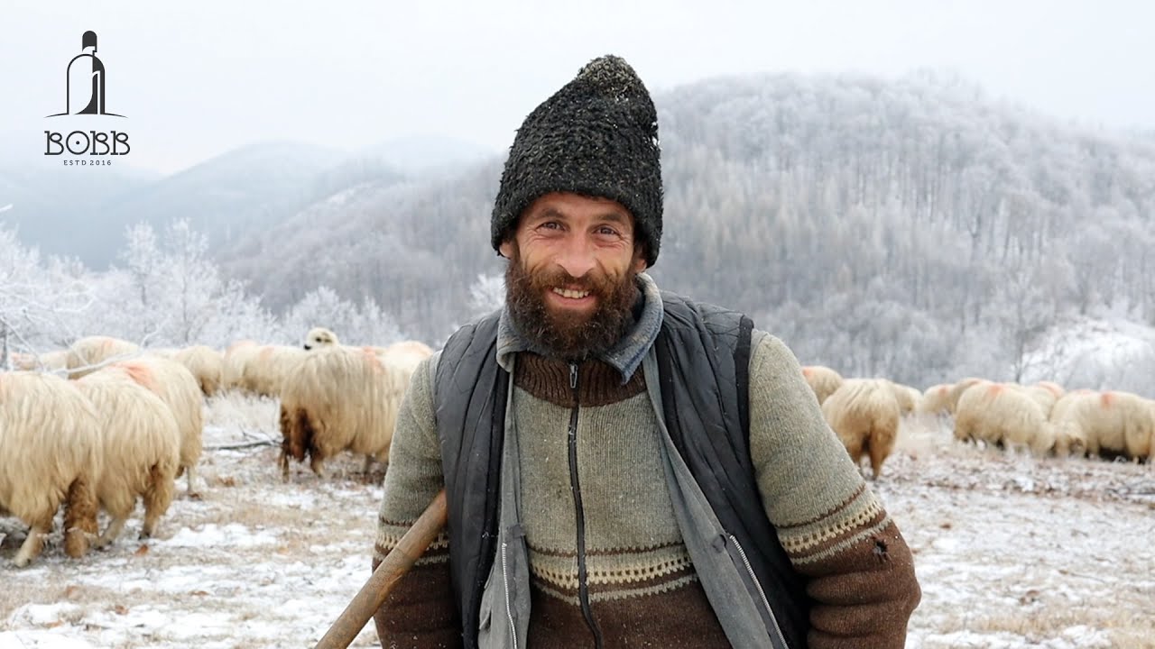 TRANSHUMANȚA DE IARNĂ | CUM ÎNVEȚI CORECT UN CÂINE DE ÎNTORS OILE?  - DOCUMENTAR EP.7