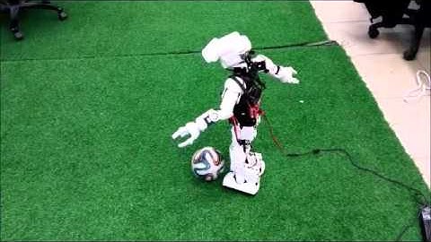 RoBIU qualification video - Germany 2016