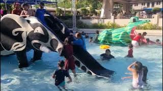 Guerra family swimming - 1