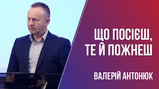 Що посієш, те й пожнеш / Валерій Антонюк / 26.09.2021