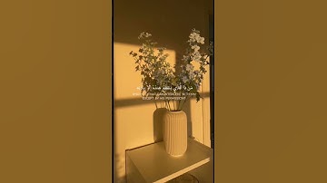 اي الكرسي بصوت ماهر المعيقلي (سوره البقره ) #قرآن #سوره #ايه_الكرسي  #ماهر_المعيقلي