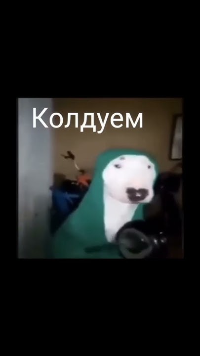 Я КОЛДУН))) - YouTube