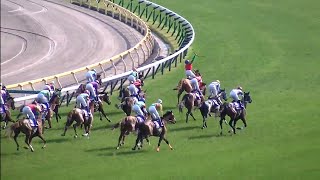 NHKマイルカップ 1着マイネルホウオウ号（柴田大知騎手）（個人撮影