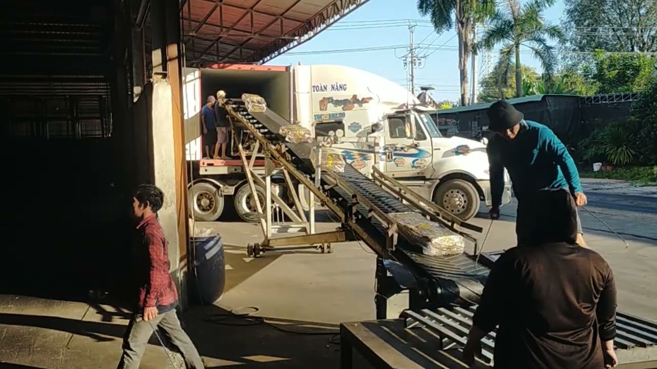 TÂN BÌNH 2 OR 493 NZLU 2312 731