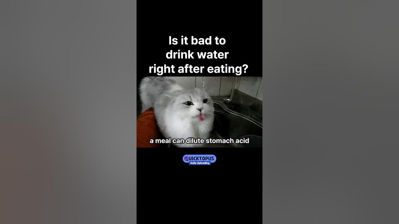 Is It Bad To Drink Water Right After Eating YouTube is-it-bad-to-drink-water-right-after-eating-youtube