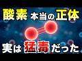 【衝撃】酸素は「生命の味方」ではなかった─世界を壊し、進化を生んだ禁断の元素の正体