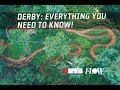 Mountain biking blue derby tasmania everything you need to know