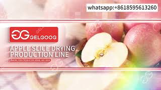 Fully Automatic Apple Chips Production Line Washing Slicing Drying