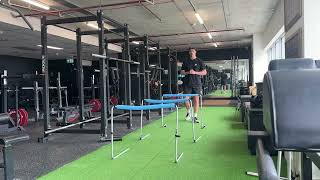Hurdle Jumps w/Double Contact