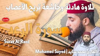 سورة الرعد - القارئ محمد سايد | Mohamed Sayed -- Surat Al Raed|تلاوة هادئة تريح الأعصاب