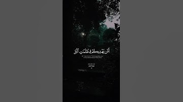 الآية(63) من سورة النمل، للقارئ: سعيد الخطيب