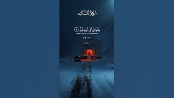 راحة لقلبك♥️🎧#راحة_نفسية#تلاوة_خاشعة#quran#معاذ_صيام#قرآن