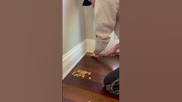 HAND SCRAPING A Hardwood Flooring Corner!