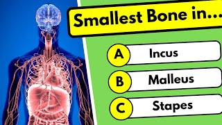 ❣️Ultimate A Level Biology Quiz on Human Body Parts and Anatomy screenshot 2
