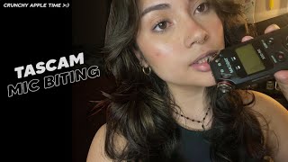 ASMR | Tascam Mic Biting 🍎 *crunchhh*