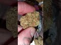 Morning Sun by 4c Labs MC #medical #uk #alternaleaf #haze #avoid