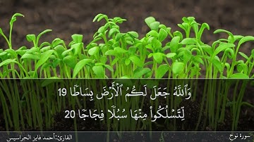 سورة نوح كاملة مكتوبة ومسموعة بصوت القارئ احمد الحراسيس