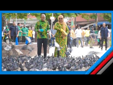 VIDEO ONA RAIS MWINYI NA MKEWE WALIVYOFIKA DARAJANI NA KUWALISHA CHAKULA NJIWA