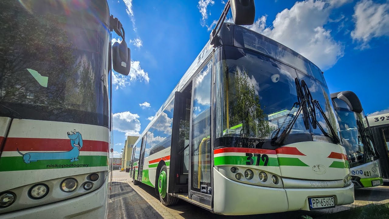 Tabor MZK Piła 2025