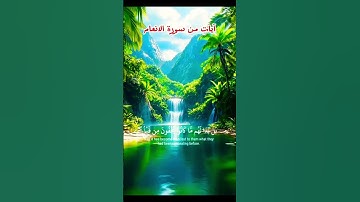سورة الانعام_  سعود الشريم #قرآن #quran #راحة_نفسية #islam #islamic #islamicstatus #اكسبلور #لايك