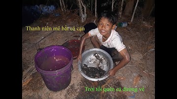 Thanh Niên Mê Bắt Cá Cạn Tới Quên Đường Về|Trúng ổ cá rô - Út Trân