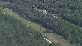 Live: Coroner called after items belonging to Brian Laundrie found at North Port preserve