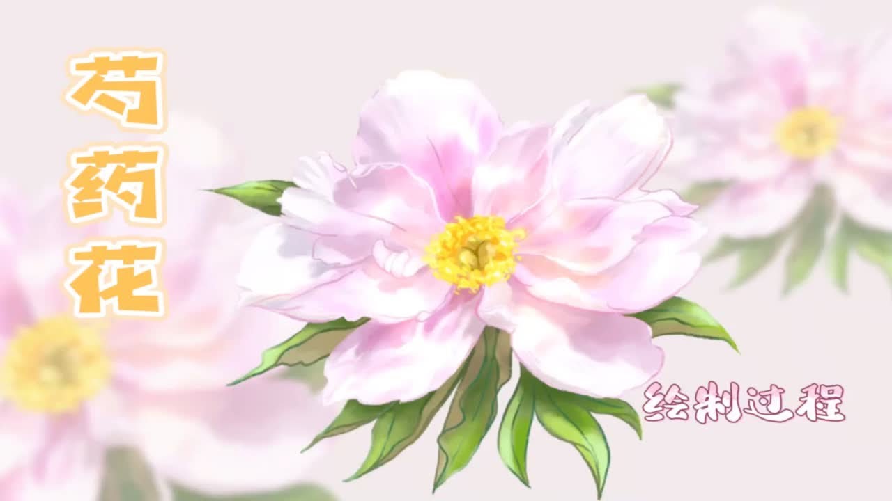 【画花卉】芍药花绘制过程- procreate板绘 - YouTube