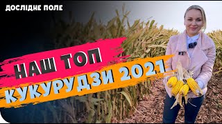 🌽 ТОП 7 ГІБРИДІВ КУКУРУДЗИ ІЗ ДОСЛІДНОГО ПОЛЯ🌽 . НАШІ ФАВОРИТИ #Досліднеполе