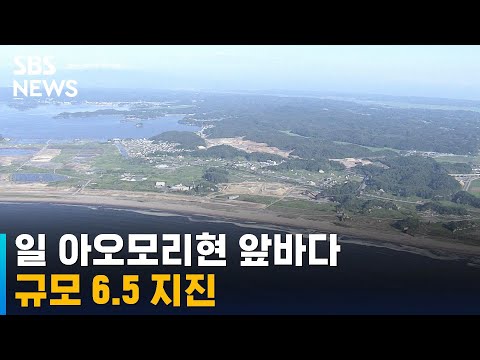 일 아오모리현 앞바다 규모 6.5 지진…쓰나미는 없어 / SBS