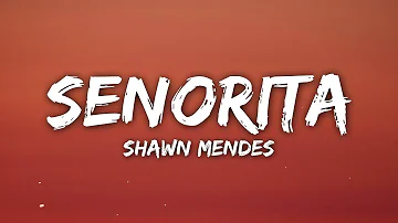 Shawn Mendes, Camila Cabello - Señorita (Lyrics/Letra)