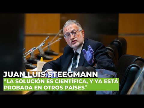 Steegmann:'No necesitamos una nueva normalidad basada en dos epidemias:el coronavirus y el Gobierno'