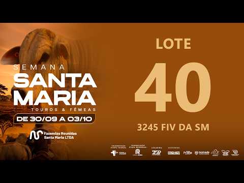 LOTE 40 FSM A3245