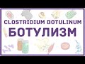 Clostridium botulinum и Ботулизм - симптомы, диагностика, лечение, микробиология