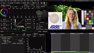 Baselight 4 4 Generalised Colour Spaces & ACES