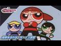 【アニメ/パワーパフ ガールズ】強敵あらわる！ボーイズ軍団 | PPG（カートゥーン ネットワーク）