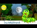 تعرفوا علي مراحل تطور و نمو الفراشات | قصة الدودة الجائعة | The very hungry caterpillar