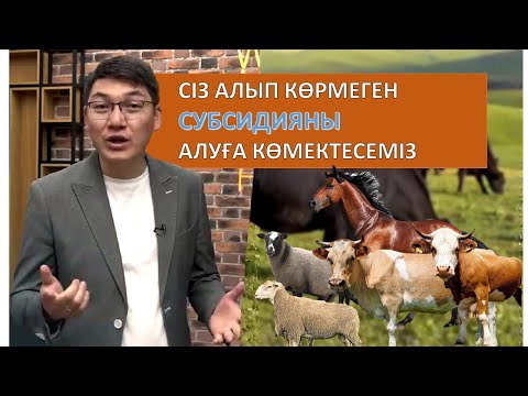 Бейне: Грант дегеніміз не? Субсидиялар кімдерге беріледі?