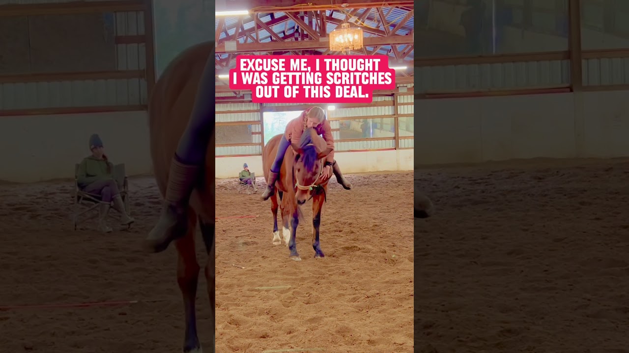 Is my emotional support horse supposed to be this high maintenance? 🤔 